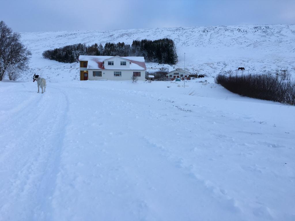 Oendolfsstathir Farm B&B Laugar  Eksteriør billede