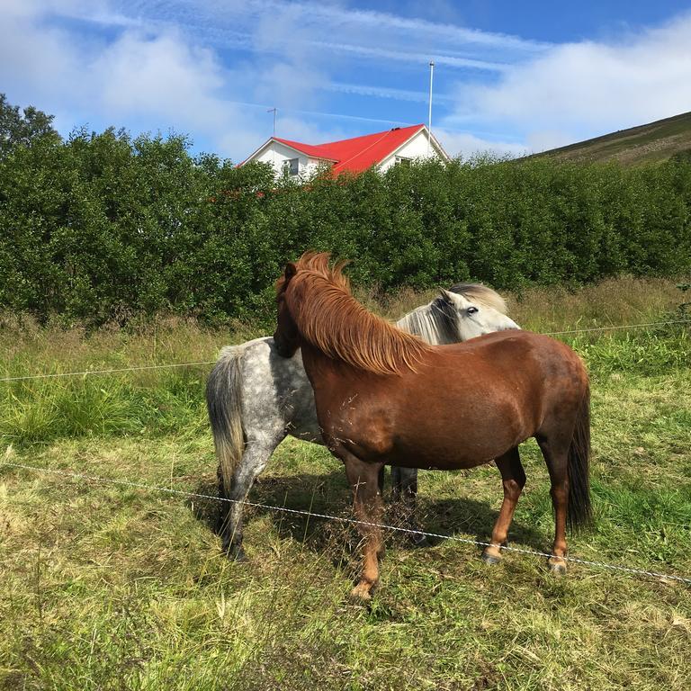 Oendolfsstathir Farm B&B Laugar  Eksteriør billede