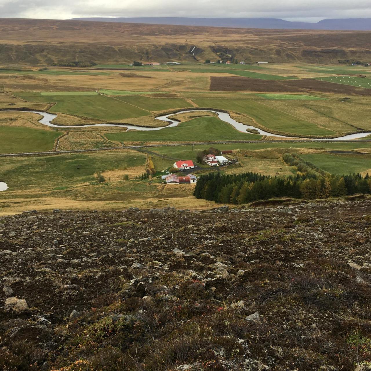 Oendolfsstathir Farm B&B Laugar  Eksteriør billede